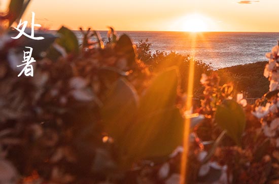 2024年处暑时间是什么时候 2024年8月22日处暑这天适合造佛像吗 2024年处暑时间是什么时候 2024年8月22日处暑这天适合造佛像吗