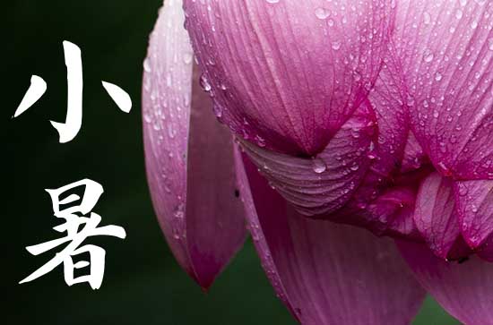 2024年小暑是什么时候 2024年7月6日是小暑