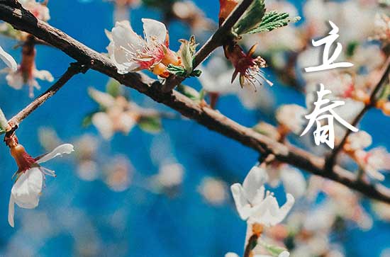 2024年阳历立春是几月几号