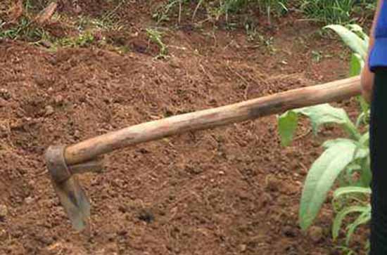 2023五一免几天过路费吗 2023五一高速公路免费详情