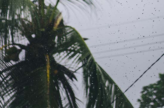 11月6日巴中会下雨 今日小雨转阴温度16℃~13℃