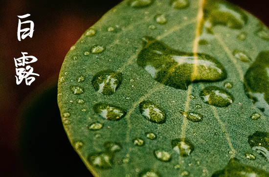 2024年今年白露是几月几号 2024年9月7日白露做买卖适合吗