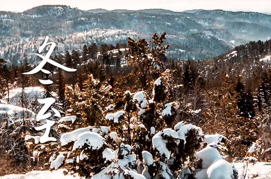 2023年冬至农历时间 2023年冬至是割蜜的好日子吗