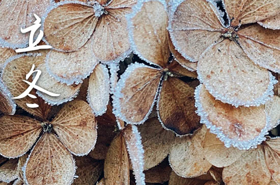 2023年农历几号立冬 2023年立冬能作灶吗 2023年农历几号立冬 2023年立冬能作灶吗