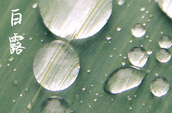 白露2024年是几月几日星期几 2024年9月7日白露当天乘船好吗 白露2024年是几月几日星期几 2024年9月7日白露当天乘船好吗