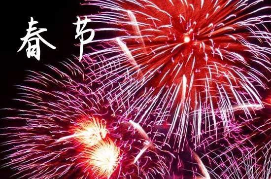 2024春节对青年祝福语