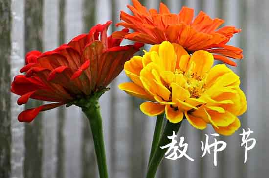 2023年教师节天气预报 这有一份最新全国教师节天气地图请查收 2023年教师节天气预报 这有一份最新全国教师节天气地图请查收