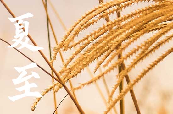 2023夏至是什么时候 夏至不是6月21就是6月22日