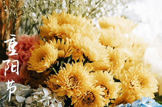 2023年重阳节是哪天