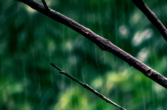 汉中7月16日天气预报:高温24℃~低温21℃，小雨转雨，会下雨