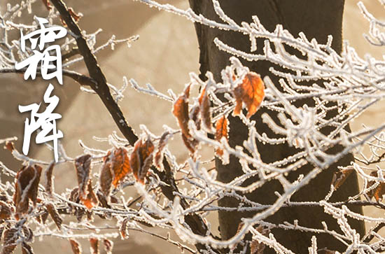 霜降的优美祝福语