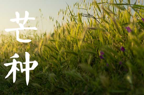 2023年芒种是几月几日几点,芒种是几月几日几点几分