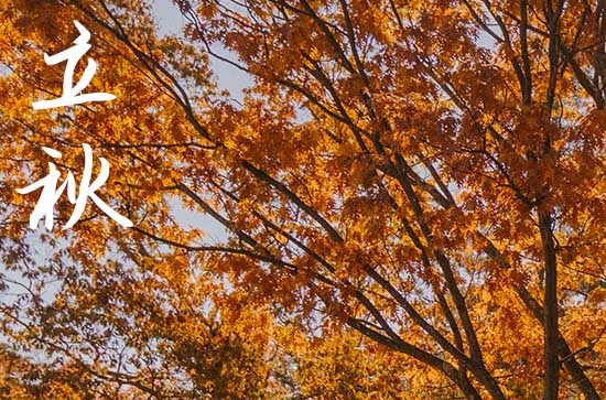 2024年立秋是几点几分几秒 2024年立秋弄找保姆可以吗