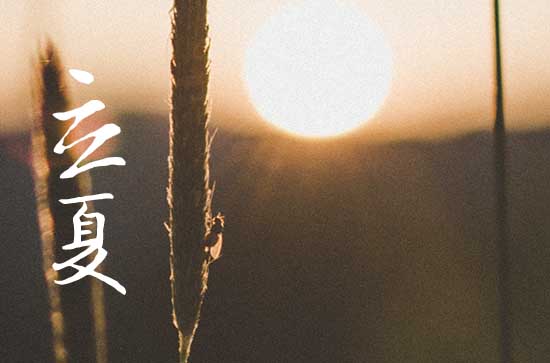 2024年立夏是几月几日 2024年5月5日立夏这天宜消灭害虫吗 2024年立夏是几月几日 2024年5月5日立夏这天宜消灭害虫吗