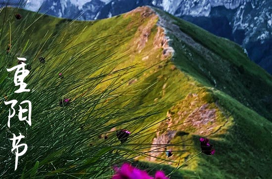 重阳节别称,重阳节又被称为什么节 重阳节别称,重阳节又被称为什么节