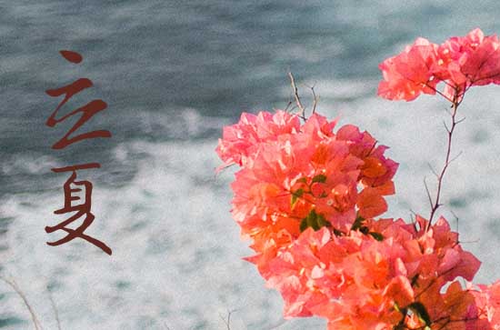 立夏是几月几号2024年