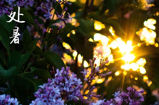 2024年农历几号处暑 今天日子好不好