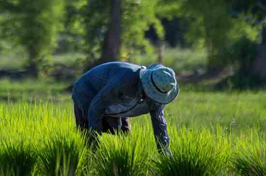 2023年五一节高速免费吗 2023五一假期高速免费多少天