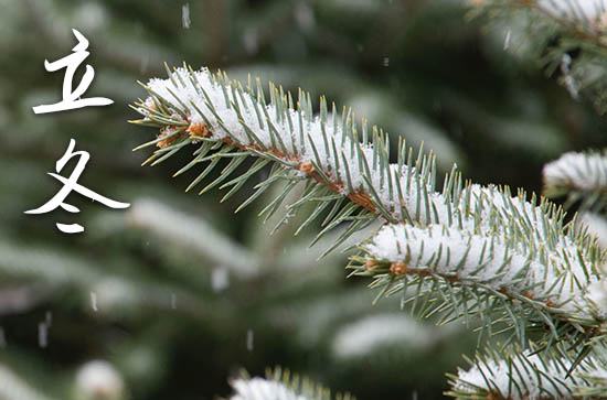 2024年的立冬是几月几号 立冬养生