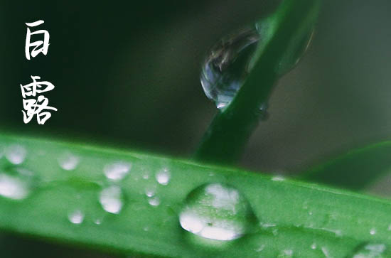 白露节气气温多少度 2023年白露后穿多厚衣物