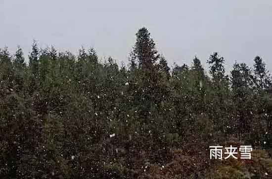 山东12月14日三预警齐发最低气温跌破历史 枣庄未来三天天气预报