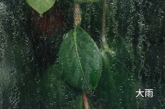 儋州7月19日天气预报:高温32℃~低温25℃，大雨转阴，会下雨