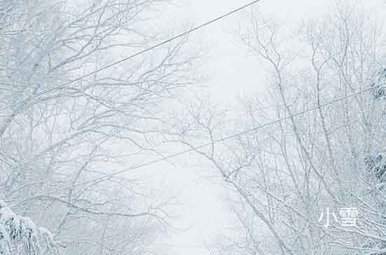 11月4日大兴安岭不会下雨 今日小雪转阵雪温度-1℃~-10℃