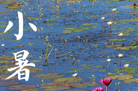2024年小暑几月几日 2024年小暑解除行不行