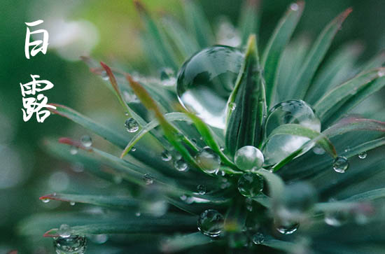 2023年白露后13天交运吗 白露后超简单的转运方法