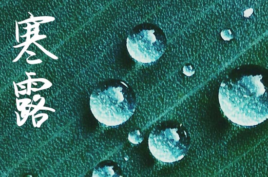 2024年寒露农历八月还是九月 寒露三候