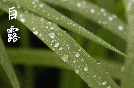 2024年白露是哪一天 2024年9月7日白露修路适合吗