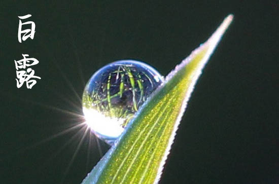 2024年白露是什么时候 2024年9月7日白露黄历