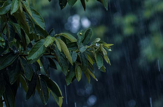 鹤岗今日天气小雨转多云 2024年11月10日鹤岗市天气预报