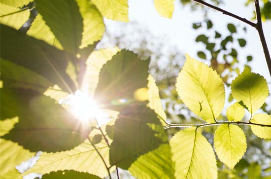 6月17日伊犁哈萨克不会下雨 今日晴温度33℃~18℃ 6月17日伊犁哈萨克不会下雨 今日晴温度33℃~18℃