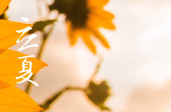 2024年立夏是什么时候时间 2024年立夏弄养宠物好吗