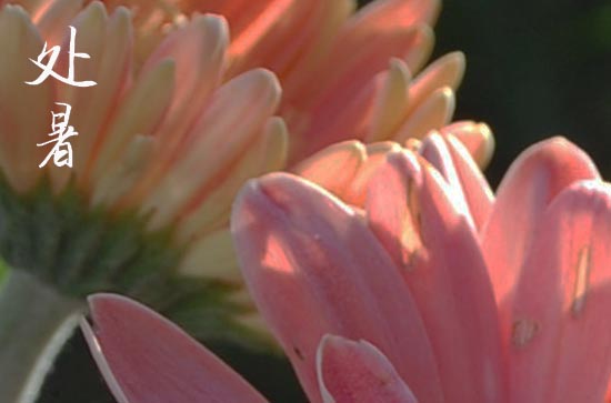 2024年处暑时间是什么时候 2024年处暑弄堤坝完工好吗