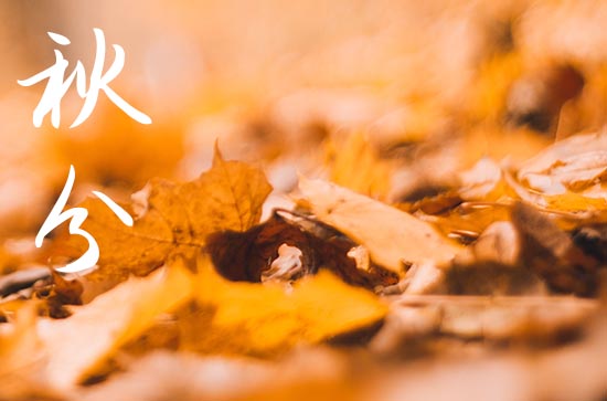 秋分谚语品味 关于秋分的各地方谚语 秋分谚语品味 关于秋分的各地方谚语