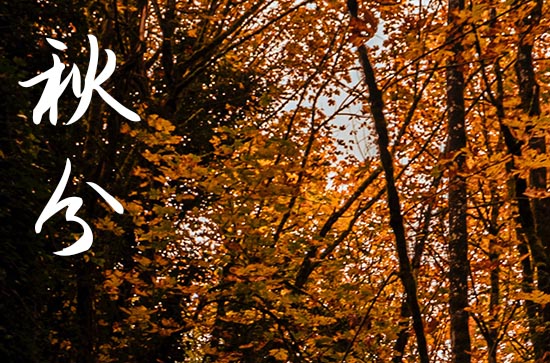 2024年农历几号秋分 2024年秋分可以修造坟墓吗