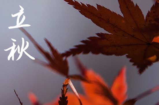 2024年今年立秋是几月几号 2024年立秋天贼吉利吗