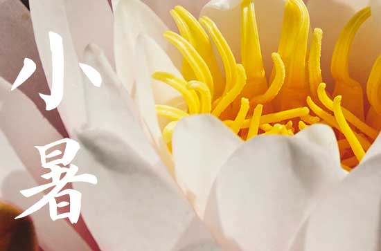 2024年小暑是哪一天 2024小暑当天可以开张吗