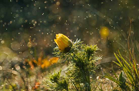 花莲未来7天天气预报 花莲7天天气预报