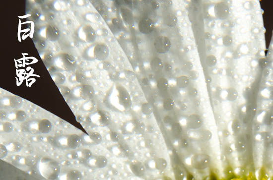 2024年白露是什么时候 2024年白露弄合帐好吗