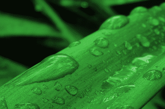 江西23日降雨减弱 明天部分地区仍有阵雨或雷雨 江西23日降雨减弱 明天部分地区仍有阵雨或雷雨