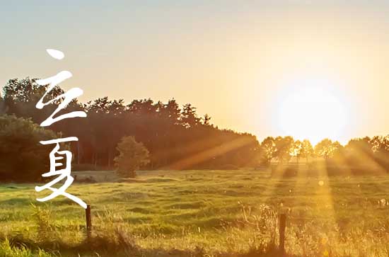 2024年立夏时间是什么时候 2024年5月5日立夏训狗可以吗