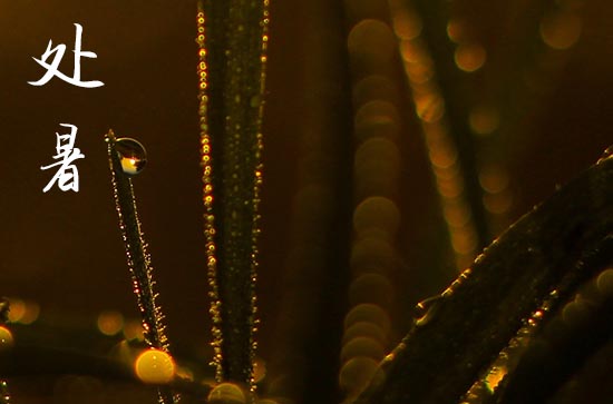 处暑2024年是几月几日星期几 2024年处暑适合解除吗 处暑2024年是几月几日星期几 2024年处暑适合解除吗