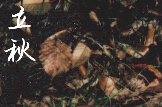 2024年立秋时间是什么时候 2024年8月7日立秋这天适合回老家吗