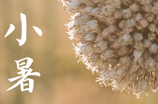 2024小暑是哪一天 2024年小暑认义子吉祥吗