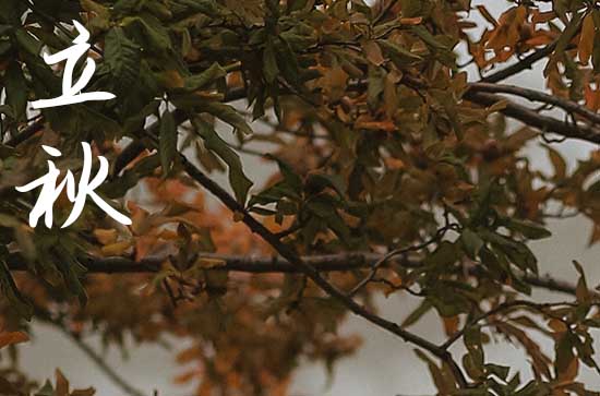 2024年立秋是星期几 2024年立秋这天日子怎样