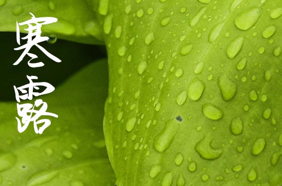 2024年几月几日是寒露节气