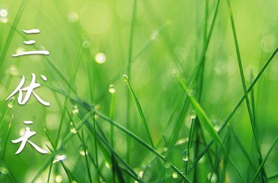 2024年三伏天最热的是几伏 2024年中伏具体时间表 2024年三伏天最热的是几伏 2024年中伏具体时间表